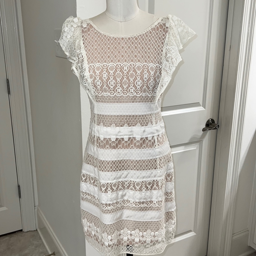 Beautiful Lace Bcbg Maxazria Dress